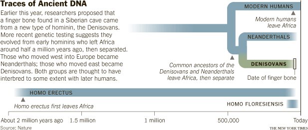 Did Interbreeding With Neanderthals And Denisovans Boost Our Immune System?
